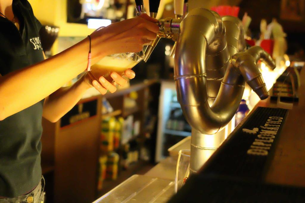 Hostel Singer Pub Чешка Будьовица Екстериор снимка